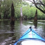 DCIM100SPORT View from my kayak in the Three Sisters