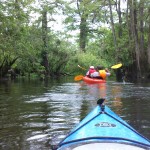 DCIM100SPORT We found our way through the swamp!