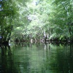 IMG00023-20100814-1543 Moores Creek