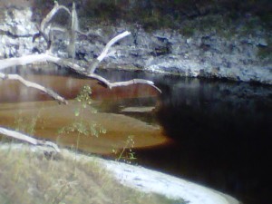 Sandbar along the Suwannee River