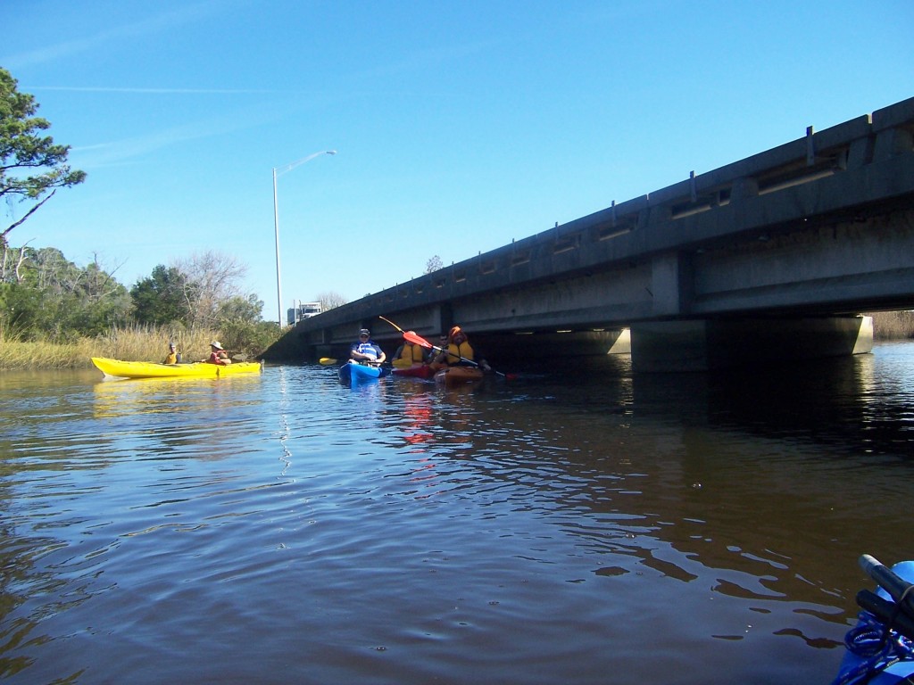 Kayaking Eagle Island