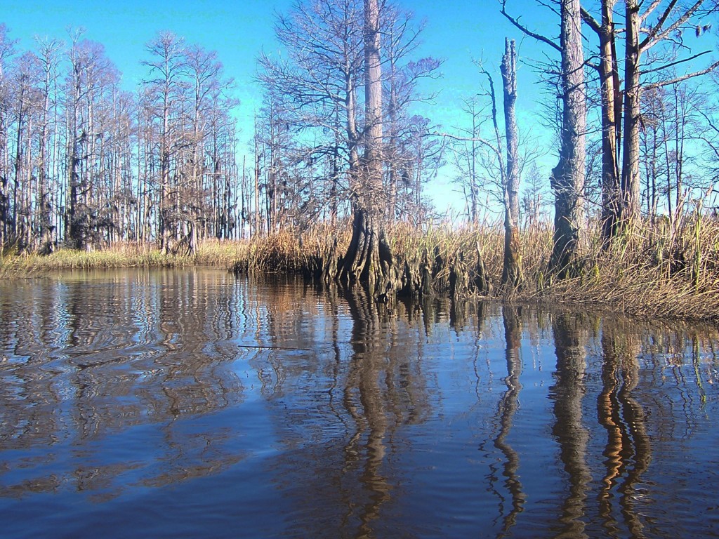 View of Eagle Island from a kayak