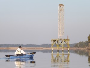 Osprey nest on tower