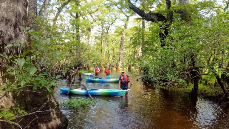 Kayaking Trips & Vacations || Wilmington & Carolina Beach, NC ...